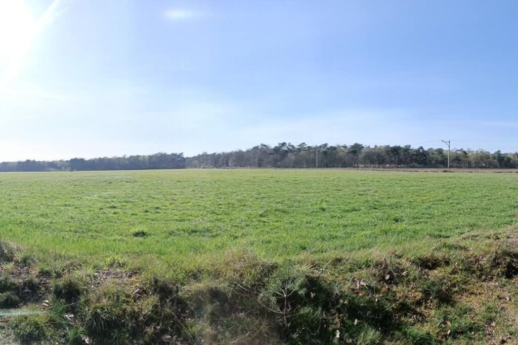 Kindvriendelijke Bungalow In Het Bos Bij Zwemmeer. Vilsteren Exterior foto